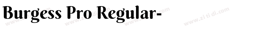 Burgess Pro Regular字体转换